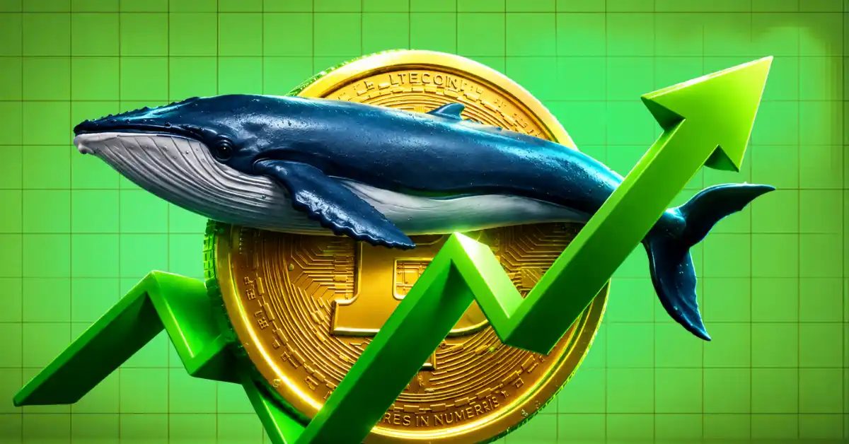 Bitcoin Indicators Flag Best Entry Point for Long-Term Investors