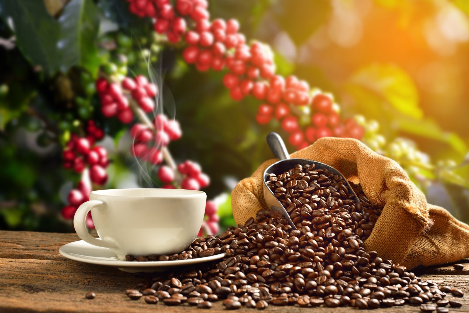 Coffee Prices Rebound Higher After This Week’s Sell-off